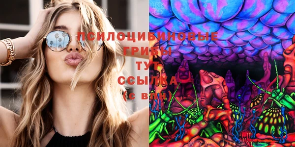 гидропоника Майский