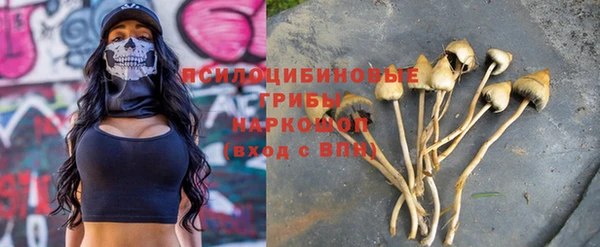 дживик Магадан