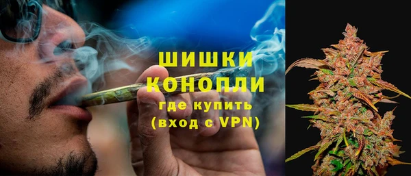 PSILOCYBIN Тольятти