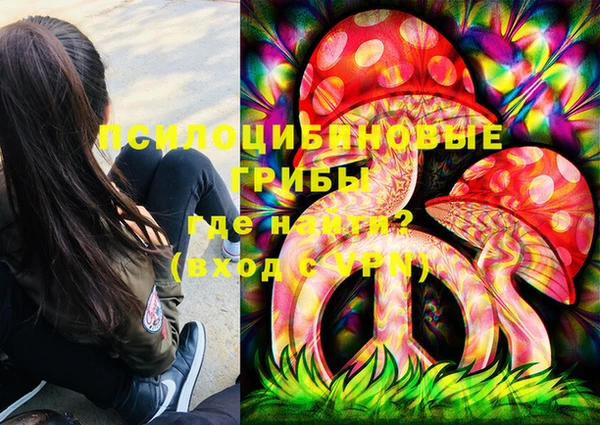 PSILOCYBIN Тольятти